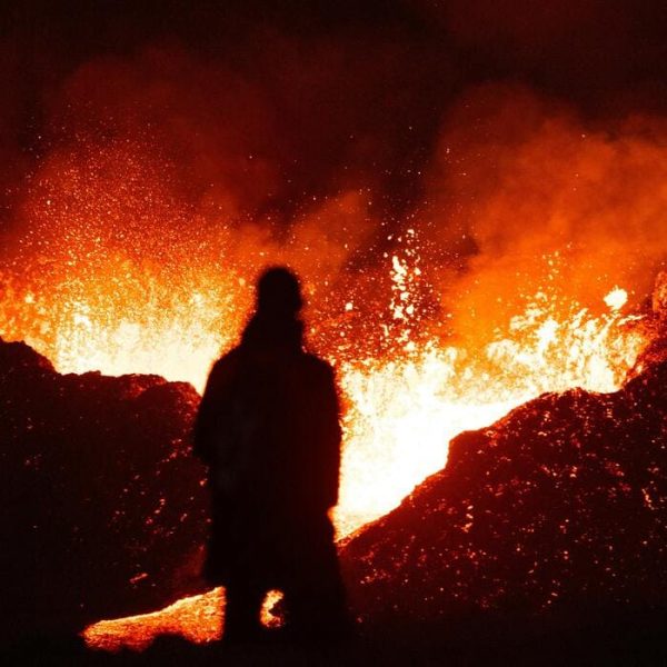 El Cambio Climático Pone en Riesgo la Vida Silvestre del Planeta