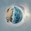 Wildlife Faces a Harsh Future as the Planet Heats Up