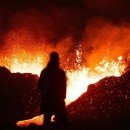 El Cambio Climático Pone en Riesgo la Vida Silvestre del Planeta